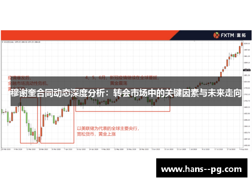 穆谢奎合同动态深度分析：转会市场中的关键因素与未来走向