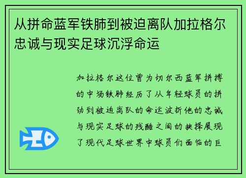 从拼命蓝军铁肺到被迫离队加拉格尔忠诚与现实足球沉浮命运